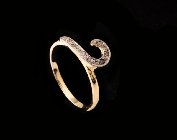 ANILLO-A061