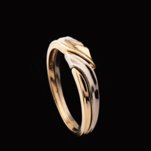 ANILLO-A0309